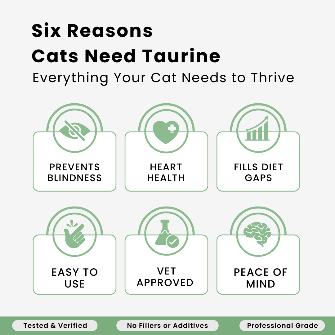 Reverse the Silent Deficiency Before It's Too Late with VitalCats™ Taurine+ Supplement