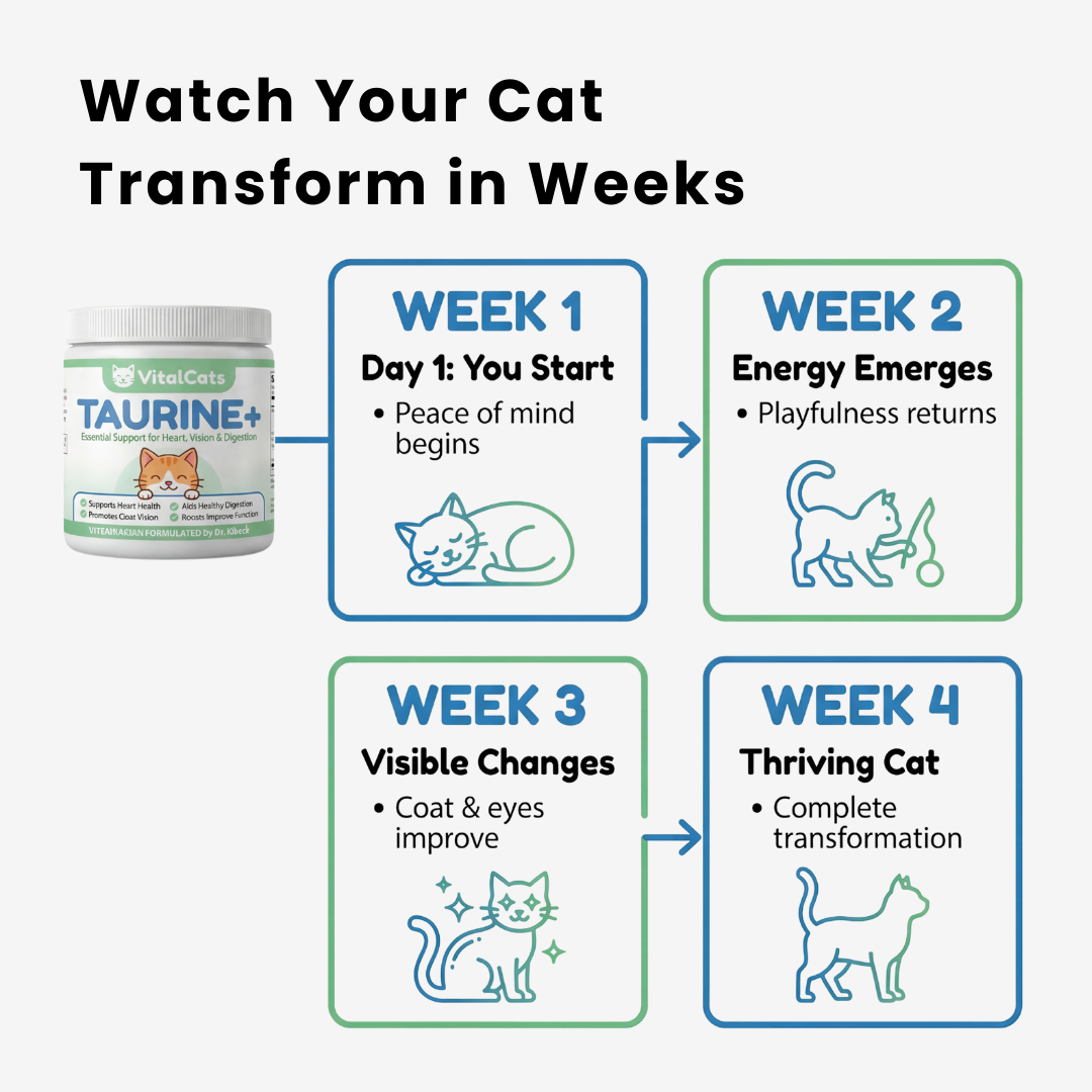 Reverse the Silent Deficiency Before It's Too Late with VitalCats™ Taurine+ Supplement